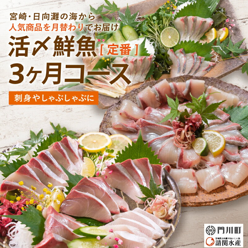 22位! 口コミ数「4件」評価「4.75」【北海道・離島配送不可】＜定期便・全3回(連続)＞旬の鮮魚(3ヶ月コース)お刺身 お刺し身 魚介 海鮮 ブリ ぶり 鰤 シマアジ カンパチ ･･･ 