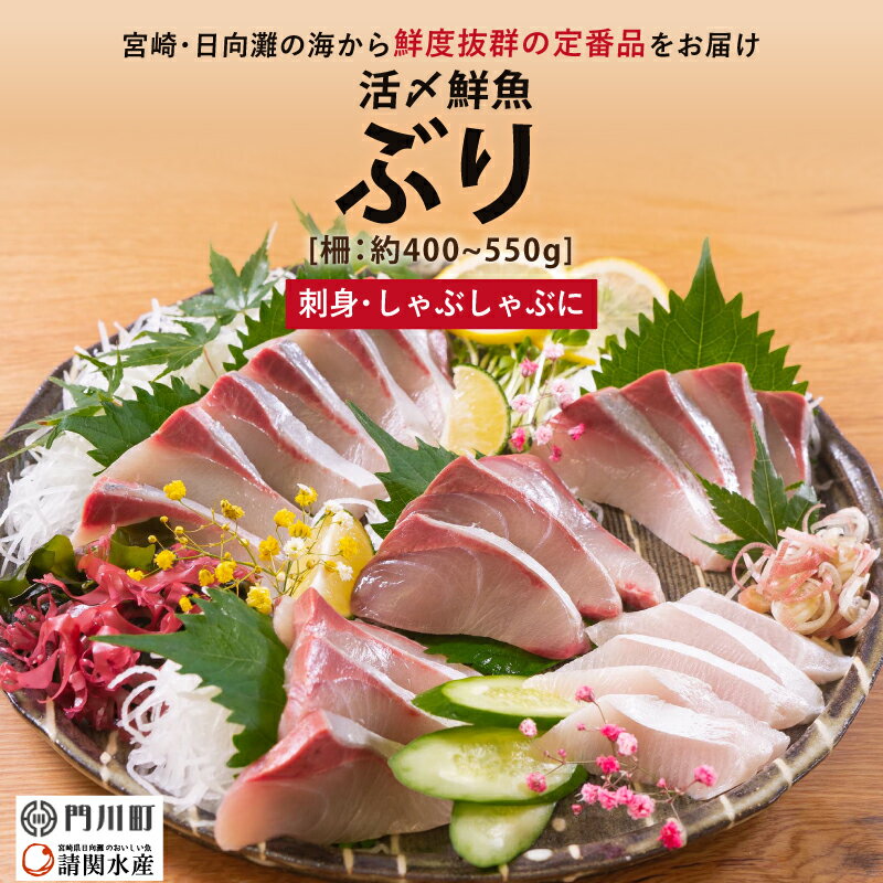 【ふるさと納税】【北海道・離島配送不可】日向灘活き締めぶりのお刺身(約400～550g)魚介 魚 旬 海鮮 ブリ 鰤 ぶり柵 刺身 しゃぶしゃぶ 冷蔵 宮崎県 門川町【AP-34】【株式会社 日向屋】