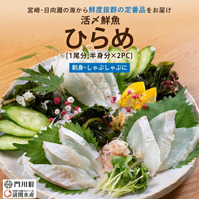 楽天ふるさと納税　【ふるさと納税】【北海道・離島配送不可】新鮮！活〆ヒラメのお刺身(1尾分：約300g～400g) お刺し身 しゃぶしゃぶ 魚介 海鮮 ひらめ 活き締め 真空パック【AP-35】【日向屋】