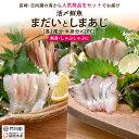 26位! 口コミ数「0件」評価「0」【北海道・離島配送不可】新鮮！活〆真鯛としまあじのお刺身セット(合計約800g～1kg)お刺し身 魚介 海鮮 まだい マダイ シマアジ 詰め･･･ 