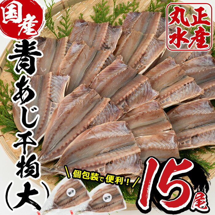 九州産あじの開き(1尾約20cm・計15枚)干物 ひもの 魚 さかな 鯵 アジ おかず 肴 おつまみ 簡単 時短 おかず お弁当 国産 冷凍 宮崎県 門川町[AW-3][丸正水産]