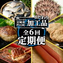 【ふるさと納税】<定期便・全6回(連続)>さかなのまち 門川 こだわり 定期便 (特大 あじ 開き・味付け すりみ 2種・宮崎牛 入り ハンバーグ・訳あり サバ...