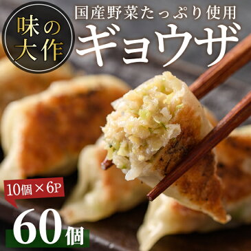 【ふるさと納税】国産の素材にこだわった餃子(計60個・10個×6パック)すべて手作りギョウザ！【DA-2】【味の大作】