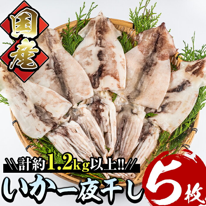 【ふるさと納税】国産いか一夜干し5枚セット(計約1.2kg以上)九州近海どれのスルメイカを原料に冷風乾燥！おかずやおつまみに大活躍！【E-16】【水永水産】