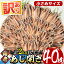 【ふるさと納税】＜訳あり＞国産あじ開き(40枚・計2kg以上)干物 鯵 セット 魚 魚介類 簡単 調理 冷凍【E-19】【水永水産】
ITEMPRICE