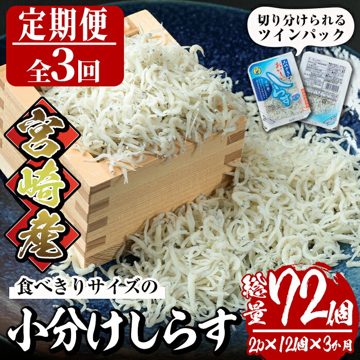 10位! 口コミ数「0件」評価「0」【定期便・全3回(連続)】小分けしらす(総量約1.8kg・25g×24個×3回)シラス 魚 魚介類 おつまみ 冷凍【E-23】【水永水産】