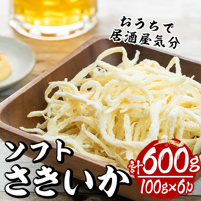 ソフトさきいか(計約600g・100g×6P)干物 おつまみ 珍味 海産物 常温 保存[E-26][水永水産]