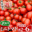 ＜内容量が選べる！＞訳あり・規格外！数量限定の門川町産ミニトマト(計2kg・計3kg・計4kg・計6kg)フルーツトマト とまと 野菜 キャロルパッション サンチェリーピュア べにすずめ アイコ ミックス 生 旬野菜 冷蔵【X-8・X-9・X-10・X-11】【いけとも農園】