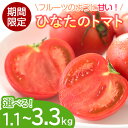 7位! 口コミ数「30件」評価「4.43」＜内容量が選べる！＞期間限定！ひなたのとまと(計1.1～3.3kg)トマト フルーツトマト 糖度 9度 以上 野菜 旬野菜 冷蔵 門川町産 ･･･ 