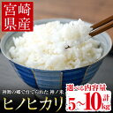 【ふるさと納税】<先行予約受付中!2025年10月中旬以降順次発送予定><内容量が選べる>宮崎県門川町産ヒノヒカリ(計5~10kg) お米 精米 白米 ごはん ご飯 ひのひかり 皇室献上米【KM-3・KM-1】【神舞農園】