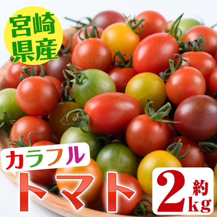 【ふるさと納税】＜期間限定＞カラフルトマト食べ比べセット(約2kg・9品種の中から4品種以上)国産 宮崎県産 とまと 野菜 サラダ 黄色 オレンジ みどり 紫 アイコ 赤 セレブスイート【KT-2】【K.TFarm】