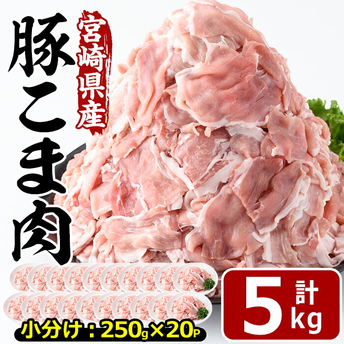 【ふるさと納税】宮崎県産 豚こま切れ(計5kg・250g×20パック)小分け 数量限定 国産 豚肉 お肉 おにく ..