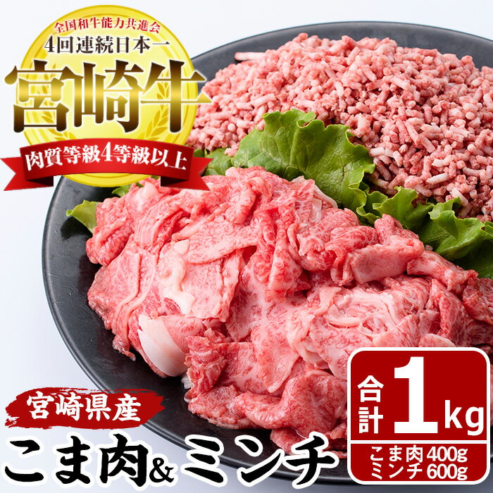 宮崎牛 こま肉 ミンチ セット(計1kg・こま肉400g、ミンチ600g)牛肉 お肉 こま切れ ひき肉 黒毛和牛 ブランド和牛 詰め合わせ 詰合せ 国産 冷凍[MF-9][エムファーム]