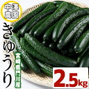 【ふるさと納税】宮崎県産きゅうり(2.5kg)野菜 やさい サラダ 胡瓜 漬物 キムチ 冷蔵【NS-2】【中澤農園】