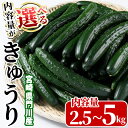 31位! 口コミ数「14件」評価「4.79」＜内容量が選べる！＞宮崎県産きゅうり(2.5kg/5kg)野菜 やさい 旬 新鮮 サラダ キュウリ 胡瓜 冷蔵 宮崎県産【NS-1・NS-1･･･ 