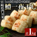 【ふるさと納税】鱧の一夜干し(計1kg)ハモ 干物 魚介 おつまみ おかず 小分け 冷凍 国産 宮崎県 門川町【O-2】【門川漁業協同組合】