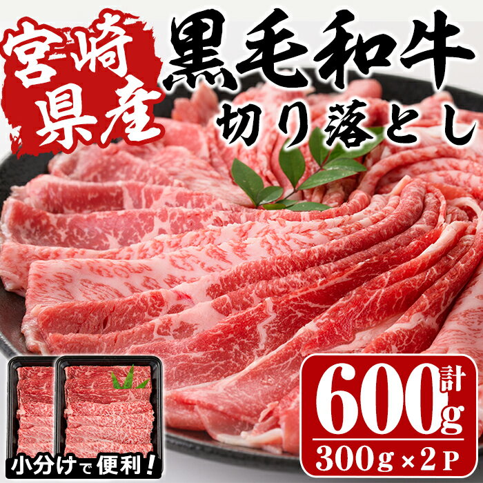 【ふるさと納税】宮崎県産黒毛和牛切り落とし 計600g・300g 2P 牛肉 精肉 お肉 モモ 肩 カタ バラ ミックス 小分け すき焼き しゃぶしゃぶ 牛丼 肉じゃが 国産 冷凍【P-20】【南日本フレッシュ…