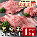 17位! 口コミ数「1件」評価「5」宮崎牛焼肉セット(合計:1kg)モモ焼肉(400g)バラ焼肉(400g)宮崎県産和牛小間切れ(100g×2)牛肉 鍋 精肉 お肉 BBQ お･･･ 