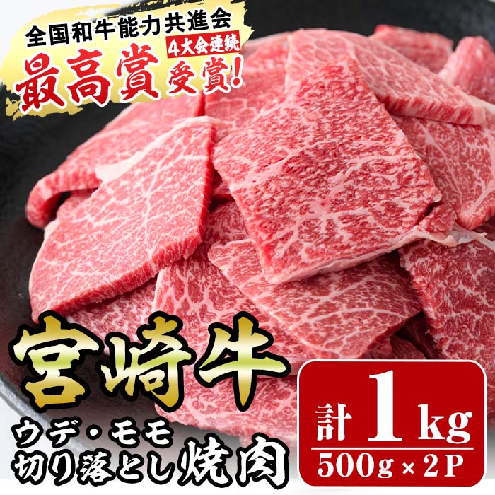 【ふるさと納税】宮崎牛ウデ・モモ切り落とし焼肉 計1kg 牛肉 うで もも 肉 BBQ 精肉 お取り寄せ 黒毛和牛 ブランド和牛 冷凍 国産【R-71】【ミヤチク】