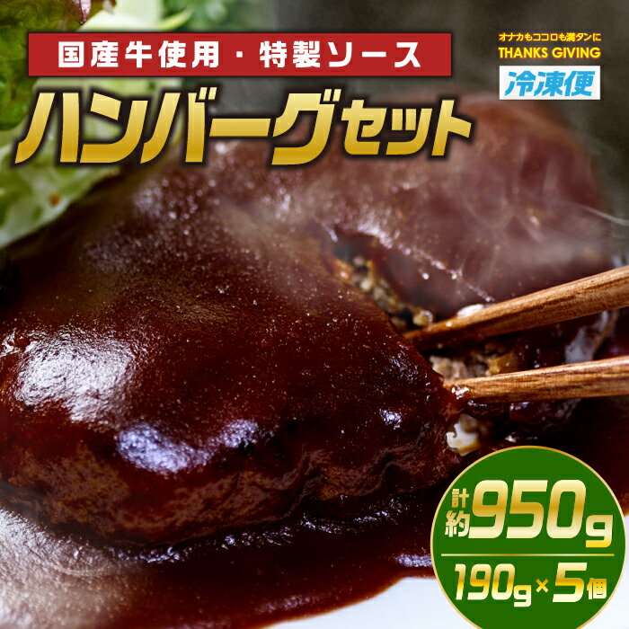 ハンバーグセット(計約950g・190g×5個)お肉 牛肉 ソース 冷凍 個包装 国産 おかず 惣菜 簡単調理【TG-1】【サンクスギビング】