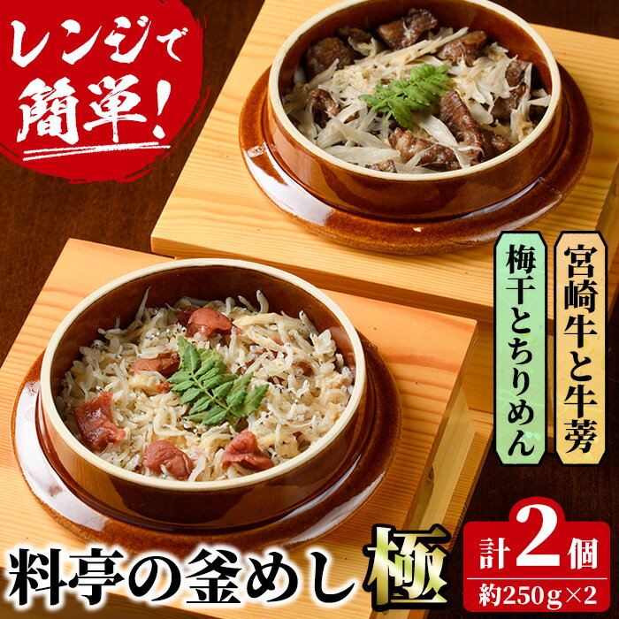 10位! 口コミ数「0件」評価「0」料亭の釜めし・極＜宮崎牛と牛蒡＞＜梅干しとちりめん＞(2種各1個)釜飯 惣菜 時短 お取り寄せ グルメ 詰め合わせ セット 冷凍【TW-3】･･･ 