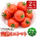 【ふるさと納税】門川町産完熟ミニトマト4種食べ比べセット(合計2kg 各500g)とまと フルーツトマト 詰め合わせ 詰合せ キャロルパッション プレミアムルビー べにすずめ アイコ 野菜 旬野菜 サラダ 冷蔵 宮崎県【X-7】【いけとも農園】