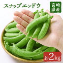 【ふるさと納税】期間限定！スナップエンドウ(約2kg)野菜 やさい 旬 新鮮 サラダ そら豆 えんどう豆 宮崎県産【GF-1】【グーファーム】