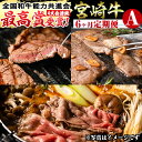 牛肉(セット・詰め合わせ)人気ランク29位　口コミ数「81件」評価「4.64」「【ふるさと納税】【定期便・全6回(連続)】宮崎牛定期便＜Aセット＞お楽しみ便 牛肉 国産 定期 ヒレ肉 モモ ウデ ロース バラ スライス 宮崎県産 黒毛和牛 焼肉 ステーキ しゃぶしゃぶ すき焼き【R-67】【株式会社ミヤチク】」