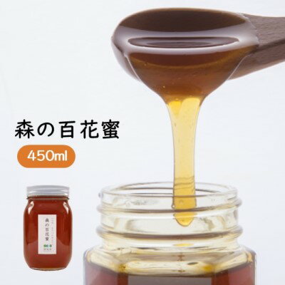【ふるさと納税】森の百花蜜 450ml 1本 蜂蜜 はちみつ ハニー ニホンミツバチ 国産はちみつ 自然養蜂 天然 無添加 非加熱 九州産