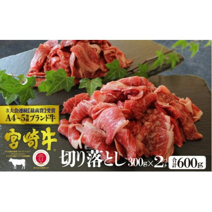 宮崎牛 切り落し 600g（300g×2）※配送不可：一部離島　【 肉 お肉 牛肉 宮崎牛 黒毛和牛 小間切れ 牛丼 肉じゃが 炒め物 すき焼き しゃぶしゃぶ 宮崎県産 産地直送 】　お届け：※お届けに2ヶ月程度かかります。