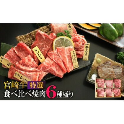 宮崎牛 特選 食べ比べ6点盛り 合計600g ※配送不可：一部離島　【 肉 お肉 牛肉 黒毛和牛 A4 A5 焼肉 食べ比べ セット 3～4人前 バーベキュー 宮崎県産 産地直送 冷凍 】　お届け：※お届けに2ヶ月程度かかります。