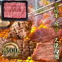 【ふるさと納税】焼肉 肩ロース 宮崎牛 約500g 黒毛和牛 肉 お肉 牛 BBQ バーベキュー 焼き肉　【諸塚村】