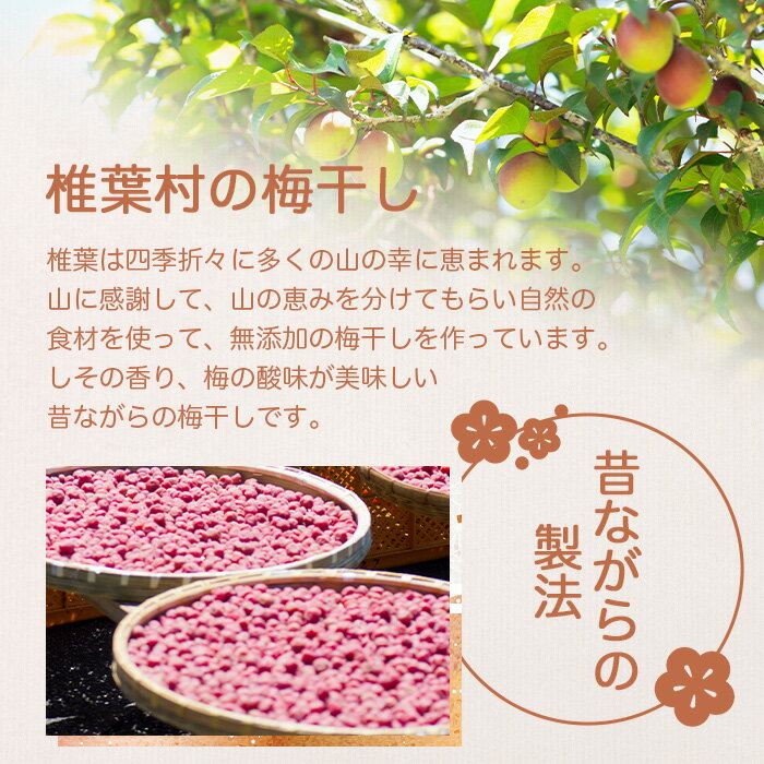 【ふるさと納税】【秘境の里 椎葉のお漬物】椎葉の梅干し 250g