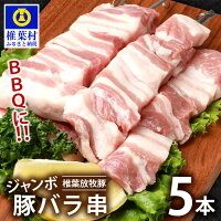 【ふるさと納税】椎葉放牧豚BBQ用ジャンボ豚バラ串5本(生冷凍)