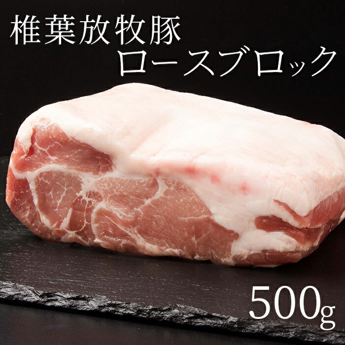 【ふるさと納税】やわらかでさっぱりとした脂が美味しい 【椎葉放牧豚 ロースブロック 500g】 ストレスフリーの大自然で育った希少豚