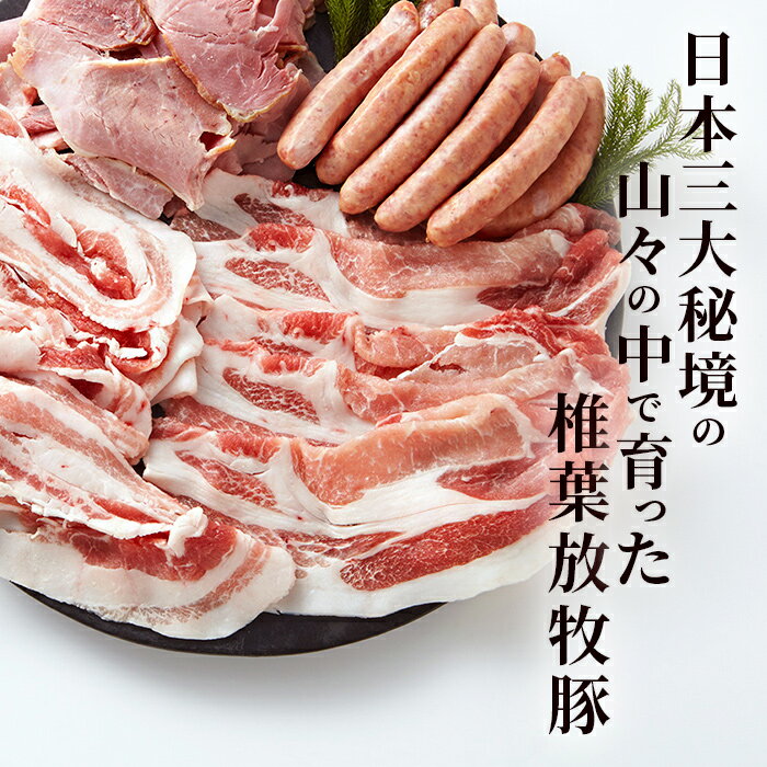 【ふるさと納税】【100名様限定】椎葉放牧豚こま切れセット2500g