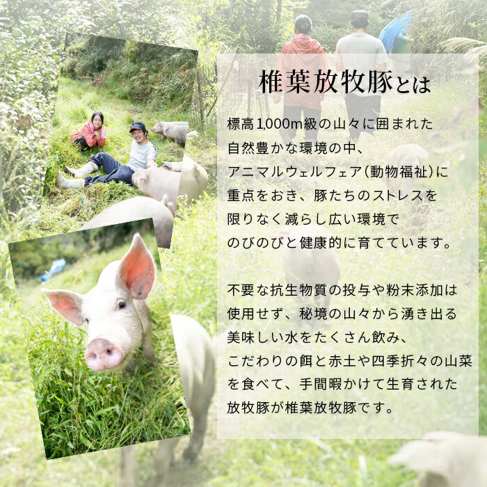 【ふるさと納税】【100名様限定】椎葉放牧豚こま切れセット2500g