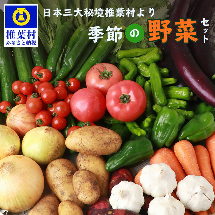 【ふるさと納税】【先行受付】日本三大秘境 椎葉村産の季節野菜