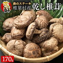  椎葉村産 乾し椎茸 こうこ 170g