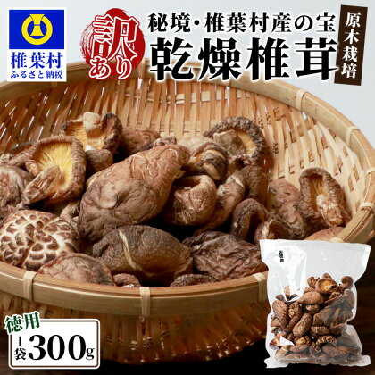 【訳あり】【徳用】秘境・椎葉村産 原木 乾しいたけ 300g【森林率96％の村の宝】