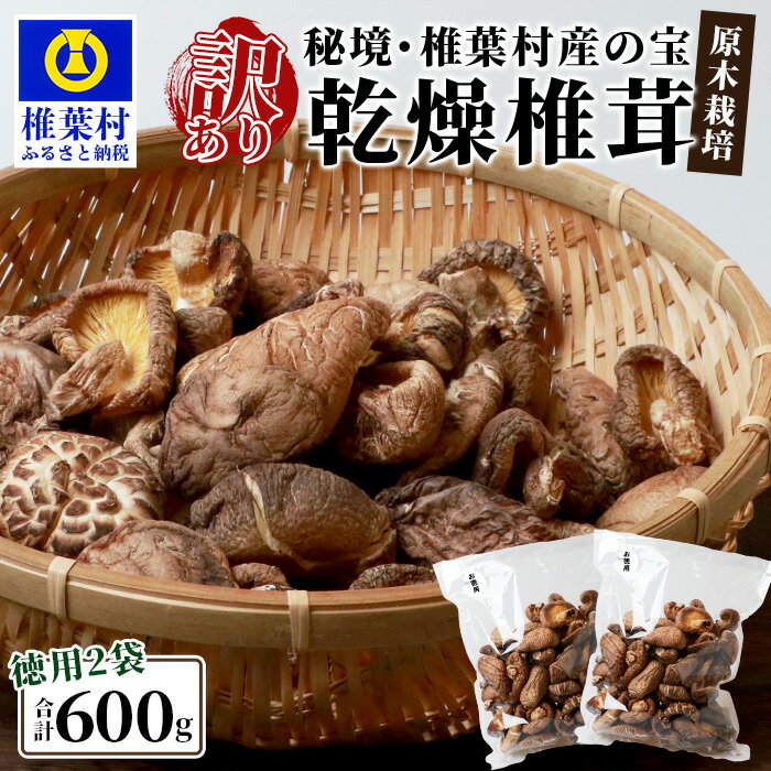 秘境・椎葉村産 原木 乾しいたけ 600g（300g×2袋）