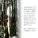 宮崎県椎葉村の画像3