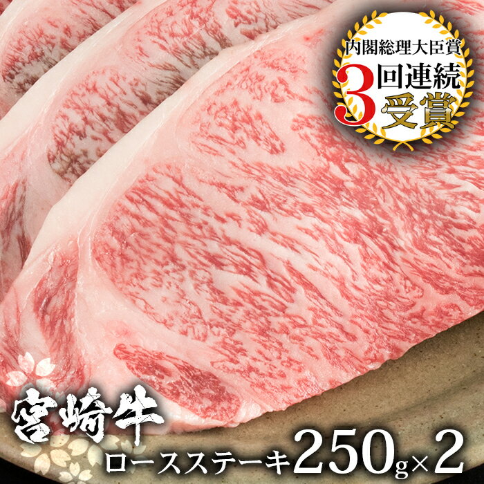 受賞歴多数!! 宮崎牛 ロースステーキ 250g×2[合計500g]