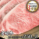 【ふるさと納税】受賞歴多数!! 宮崎牛 ロースステーキ 250g×2【合計500g】