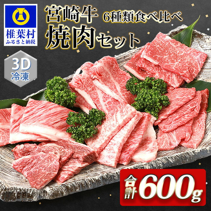 【ふるさと納税】【3D冷凍】宮崎牛 6部位 食べ比べ 焼き肉セット 【宮崎県産 肉 和牛 黒毛和牛 国産 冷凍 父 母 敬老 お祝い 内祝い お中元 お歳暮 贈り物 ギフト 誕生日 プレゼント BBQ キャンプ 冷凍 焼き肉 肩ロース バラ モモ ウデ ロース ヒレ 肉セット ブランド牛】