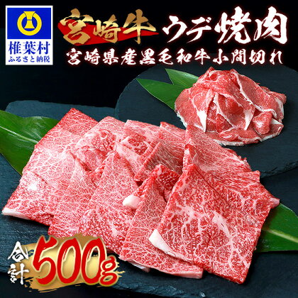 受賞歴多数!! 宮崎牛 ウデ焼肉「400g」＆宮崎県産黒毛和牛小間切れ「100g」【合計500g】