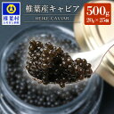 【ふるさと納税】【世界三大珍味×日本三大秘境】HEIKE CAVIAR 500g 【20g×25個】【産地直送】