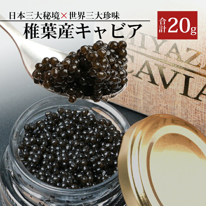 【桐箱入り】【ギフト】HEIKE CAVIAR 椎葉産 キャビア 20g 【宮崎県 椎葉村】 チョウザメ 【世界三大珍味×日本三大秘境】