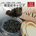 18位! 口コミ数「1件」評価「1」【桐箱入り】【ギフト】HEIKE CAVIAR 椎葉産 キャビア 50g 【宮崎県 椎葉村】 チョウザメ 【世界三大珍味×日本三大秘境】