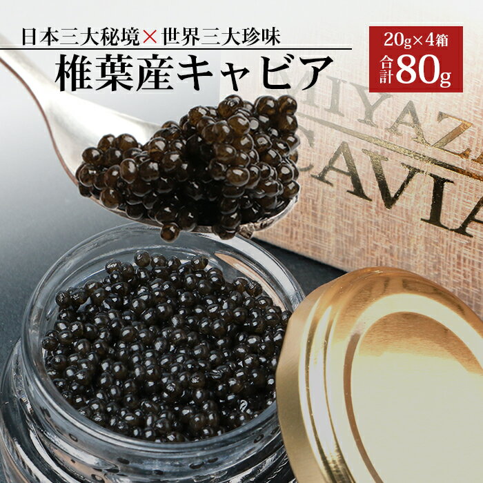 【桐箱入り】【ギフト】HEIKE CAVIAR 椎葉産 キャビア 80g 【宮崎県 椎葉村】 チョウザメ 【世界三大珍味×日本三大秘境】